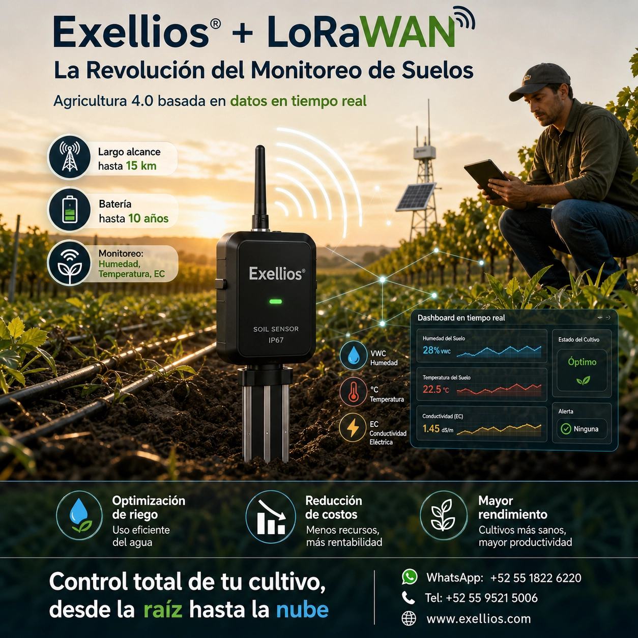 Exellios® y LoRaWAN: La Revolución del Monitoreo de Suelos en la Agricultura mexico